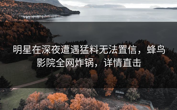 明星在深夜遭遇猛料无法置信，蜂鸟影院全网炸锅，详情直击