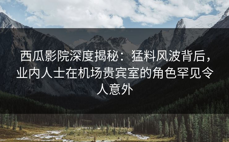 西瓜影院深度揭秘:猛料风波背后,业内人士在机场贵宾室的角色罕见令人意外 西瓜影院深度揭秘:猛料风波背后,业内人士在机场贵宾室的角色罕见令人意外